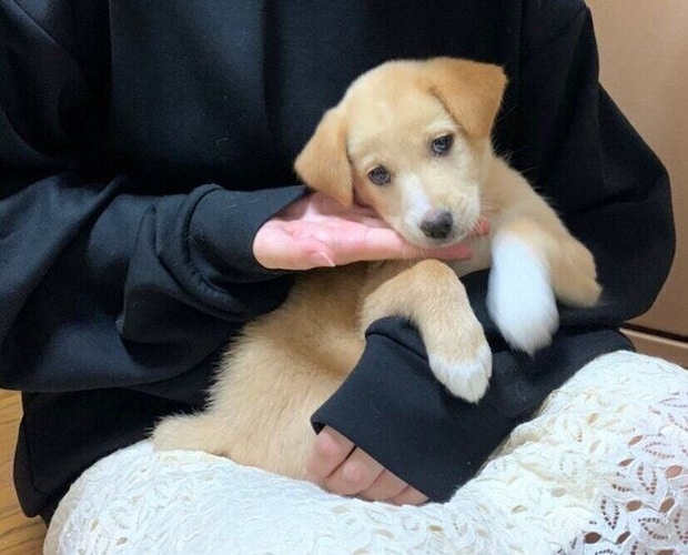 お迎え初日のなつ子ちゃん