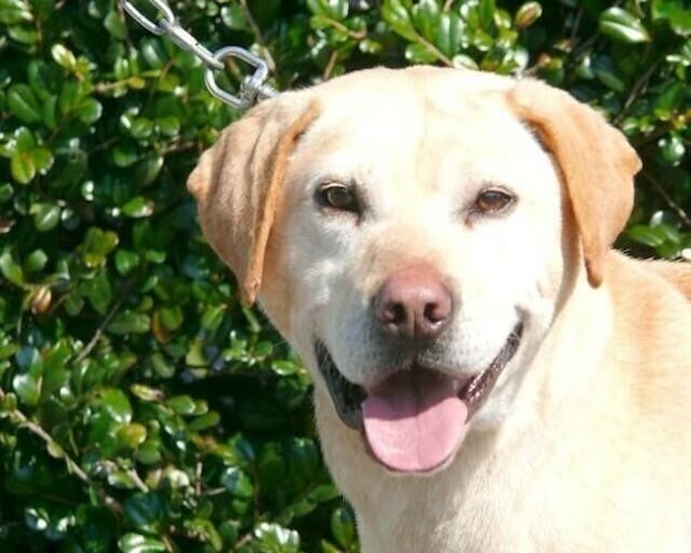 笑顔を見せるばしょうくん