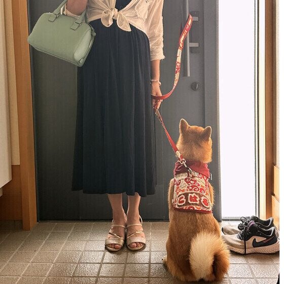 柴 あたいの準備はOK