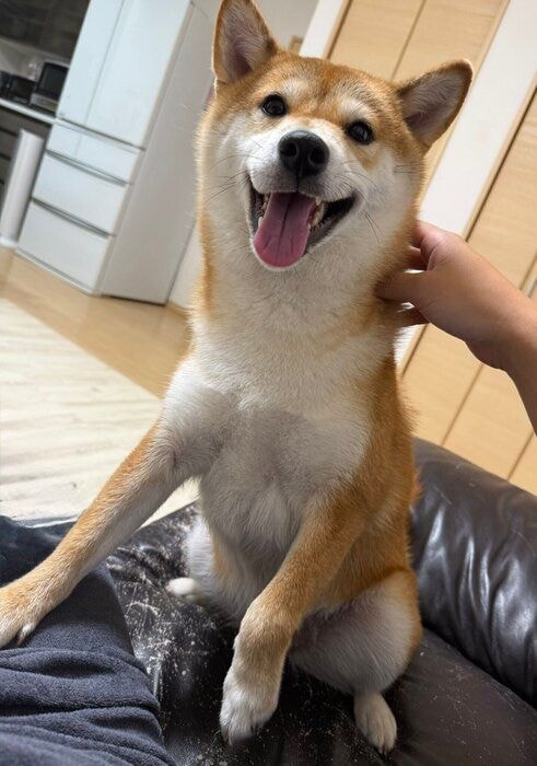 2才になったまろんちゃん