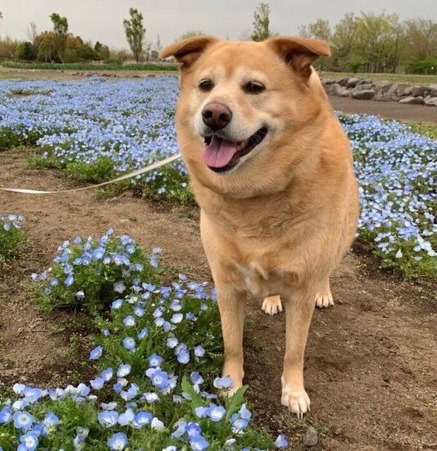 9才のころに撮影したメリーちゃん