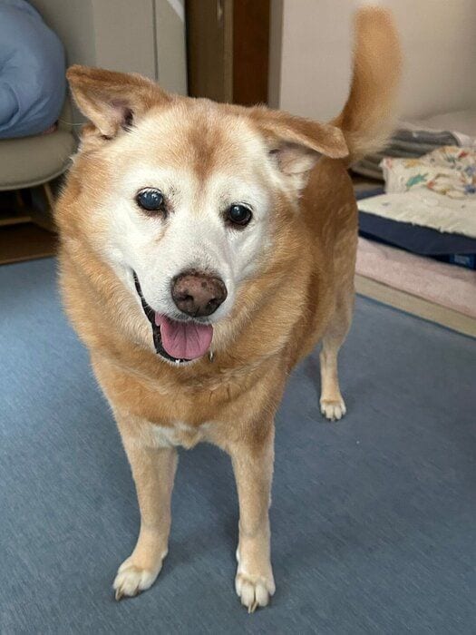 笑顔が可愛いメリーちゃん