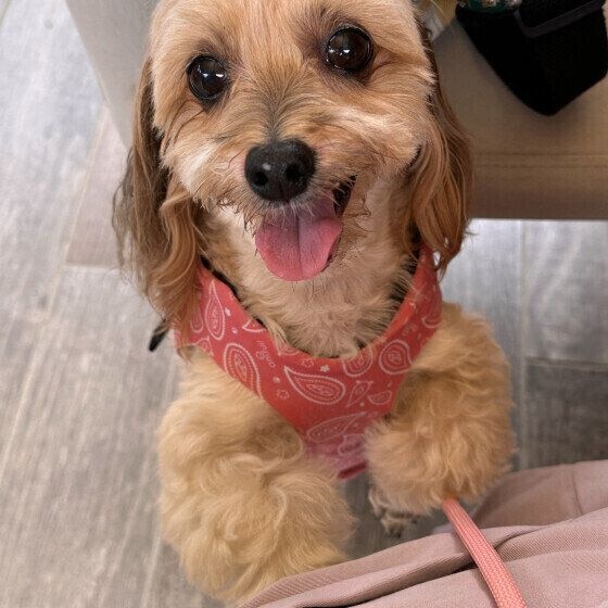 笑顔がカワイイ