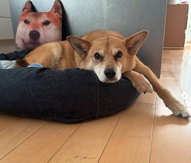 現在の柚ちゃん