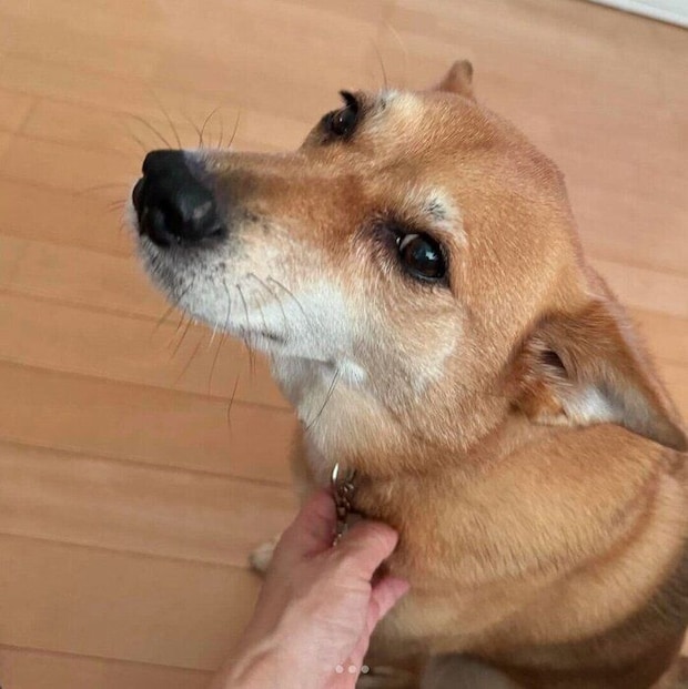 甘える柚ちゃん