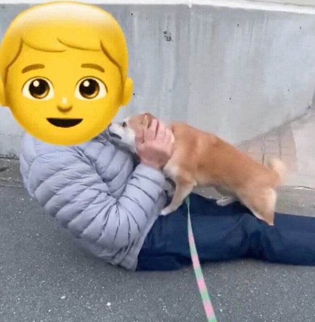 大好きなご近所さんにご挨拶するモモちゃん