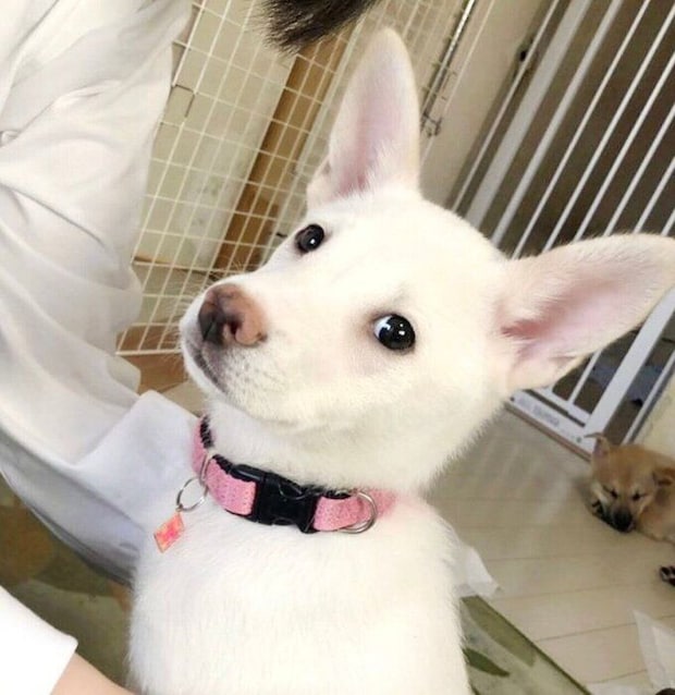 お見合いしたときのハルちゃん