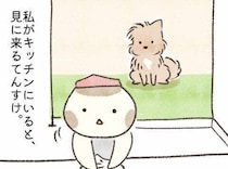 筋力の問題、それとも気力？　秒で崩れる「おすわり嫌い」｜連載「こぐま犬てんすけ」vol.301