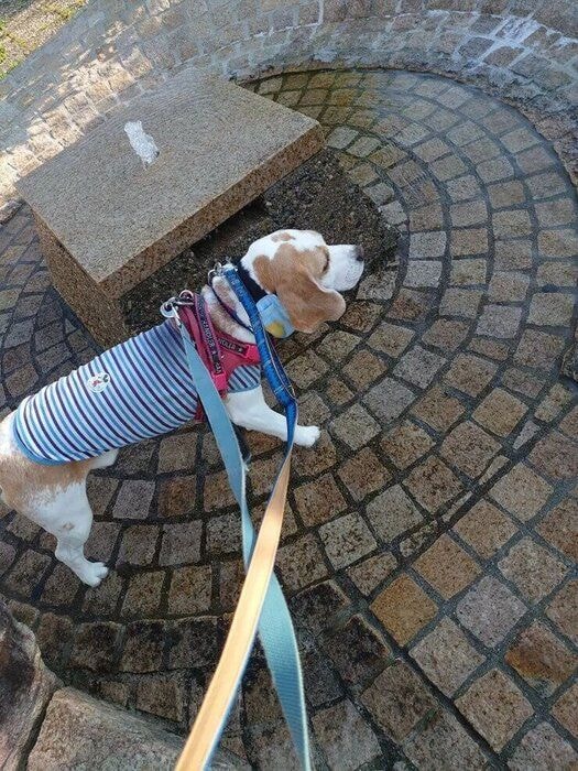 にきぽんさんの写真