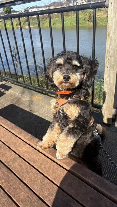 cookieさんの写真