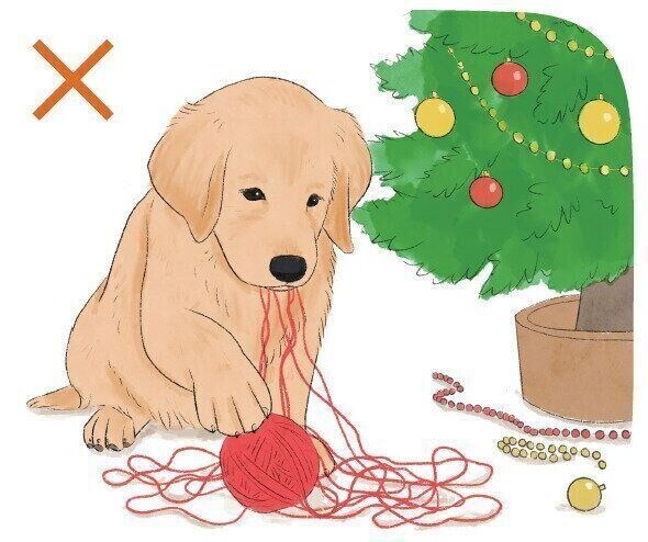 毛糸を誤飲する犬のイメージ