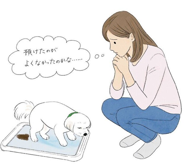 お腹を壊した犬のイメージ
