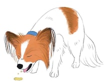 脱水や誤食に注意！　冬に気をつけたい犬の泌尿器系・消化器系の病気と予防ポイントを解説