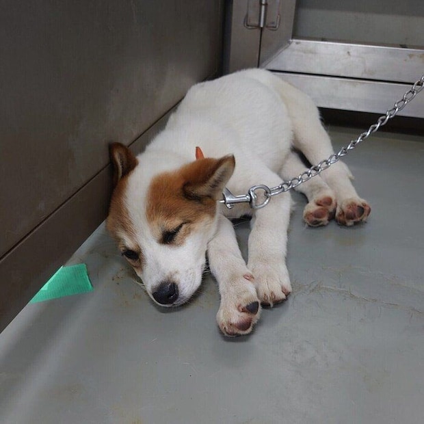 初めて会ったときに撮影された1枚