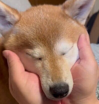 うっとりとした表情を浮かべるお凛ちゃん