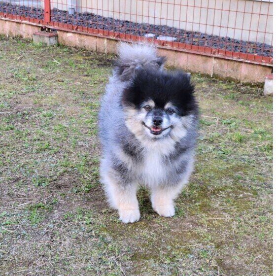 外遊び中、嬉しそうだね