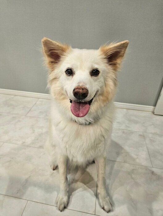 成長後の様子 瑞鶴ちゃんは家族のことが大好きなのだとか