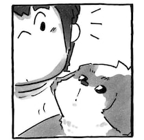 夢の中でニッコリ微笑むて愛犬、夢の続きを連れて行く“特別な朝散歩”|連載「シーズー犬のてんぽ」第290回