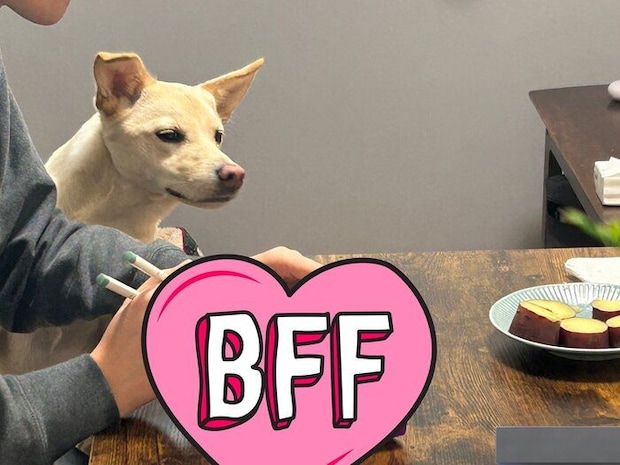 さつまいもが冷めるのを待つみらいくん