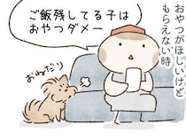 おやつのためなら！愛犬の頭脳プレーに驚いた話｜連載「こぐま犬てんすけ」vol.302