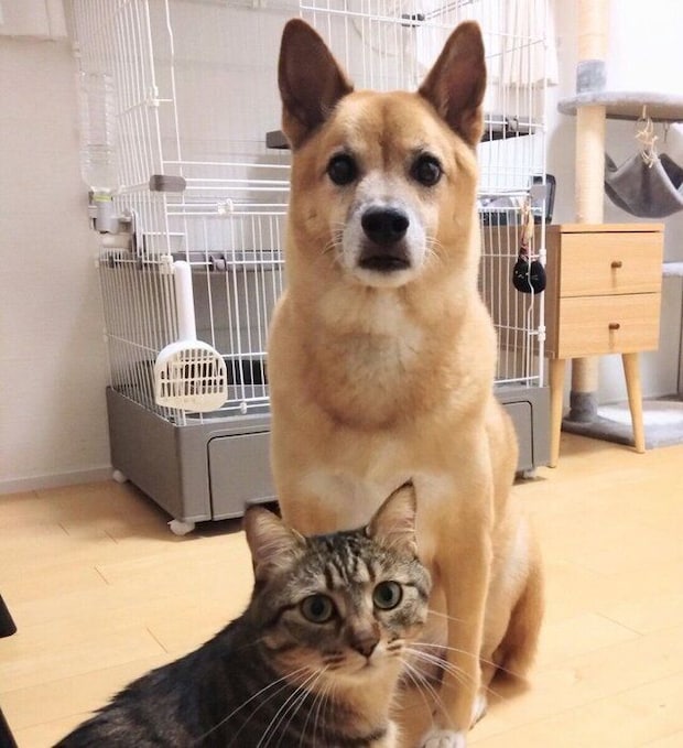 コタロウくんとノアちゃん