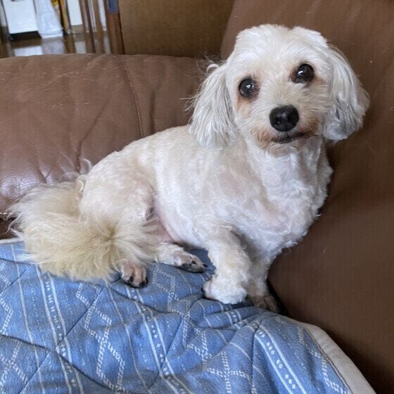 14才のバニラちゃん