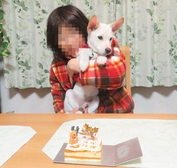 お迎えしたばかりのころのクーちゃん