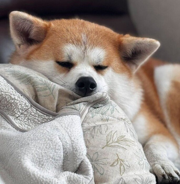 まったりする来未ちゃん