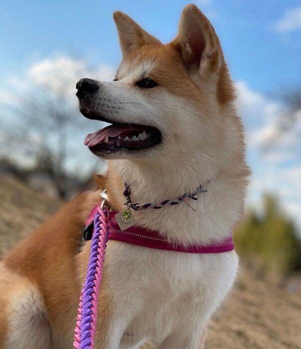 生後6カ月ごろの来未ちゃん