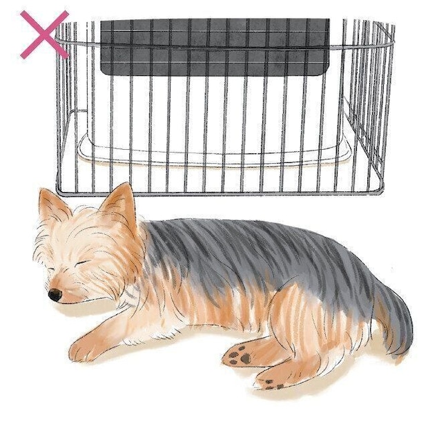 ストーブの近くで眠る犬のイメージ