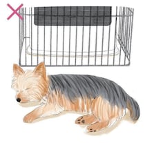 乾燥や暖房器具が原因に？　冬は要注意な犬の皮膚トラブルやケガと予防ポイントを解説