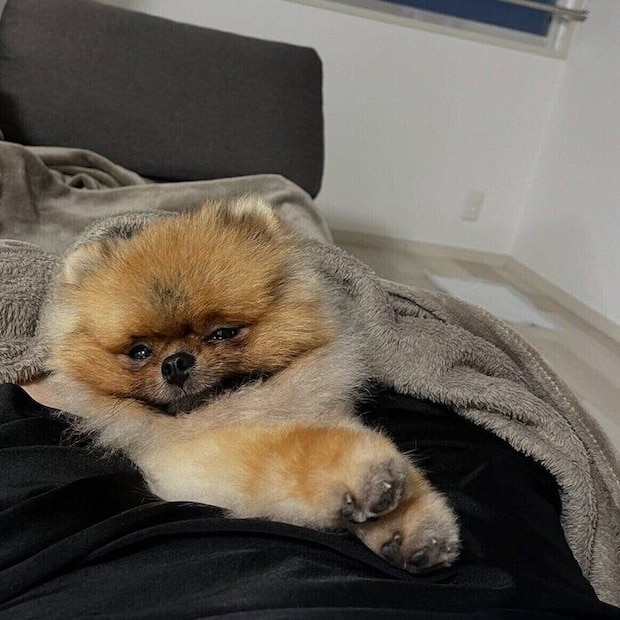 安心している様子が伝わってくる1枚