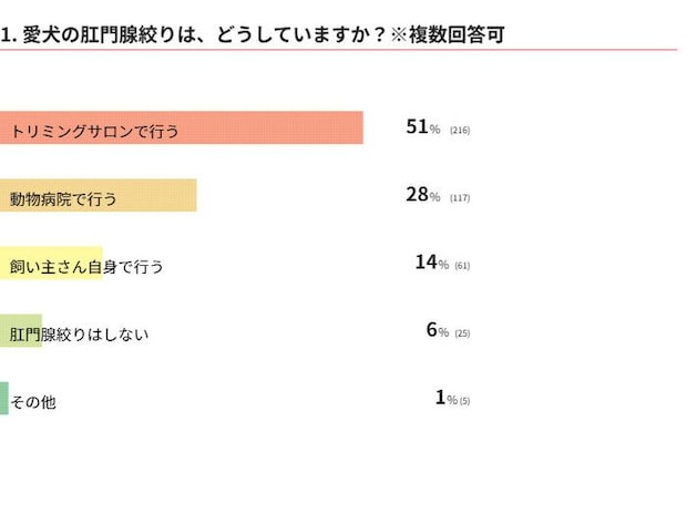 愛犬の肛門腺絞りは、どうしていますか？