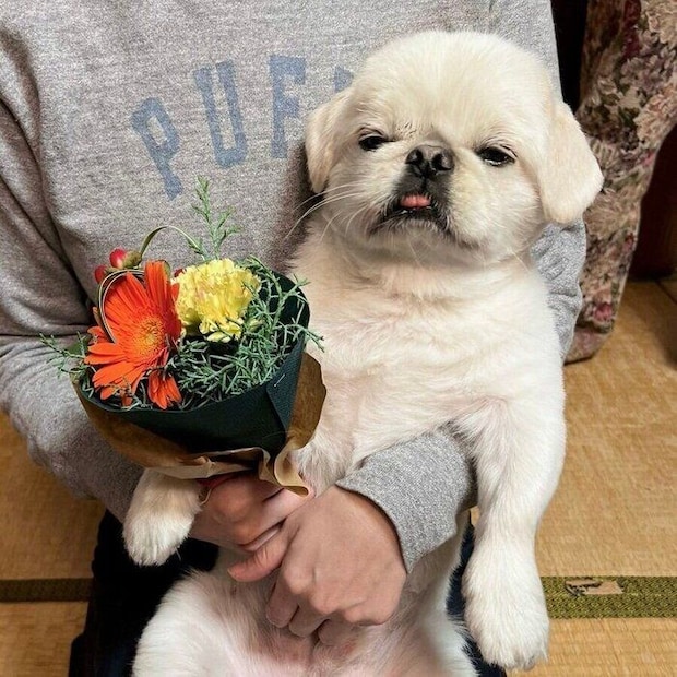 目を細めて何とも言えない表情をするムーチョくん