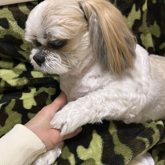 もっと撫でて♪