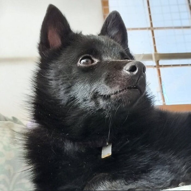 表情もおとなっぽくなった瑠音くん