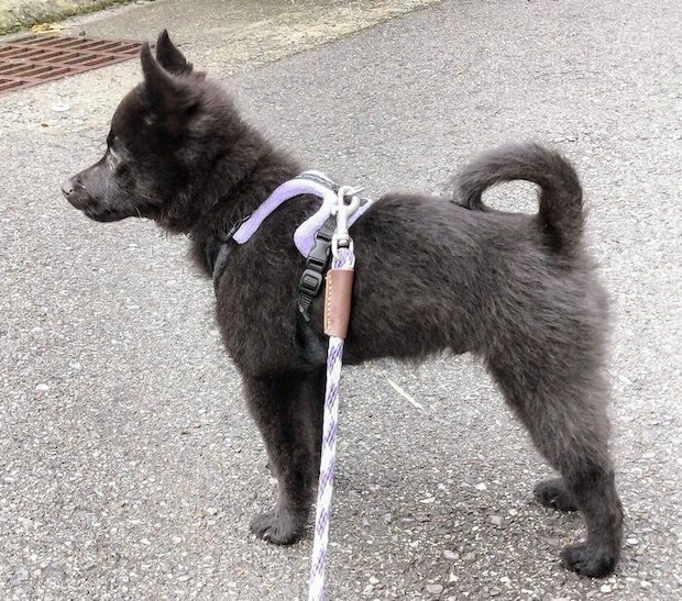 生後4カ月ごろの瑠音くん