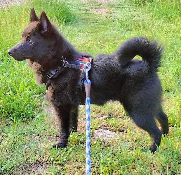 生後6カ月のころに撮影した瑠音くん