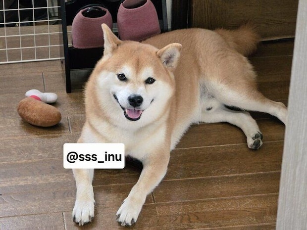 にっこりする麦くん