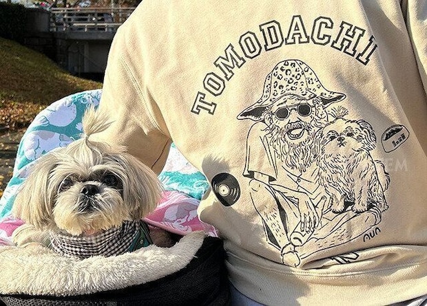 シーズー犬マンガてんぽshihtzu