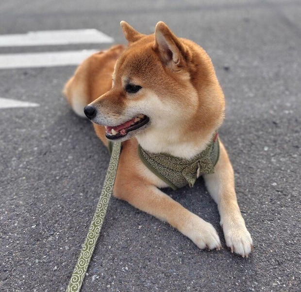 4才になったもなかくん