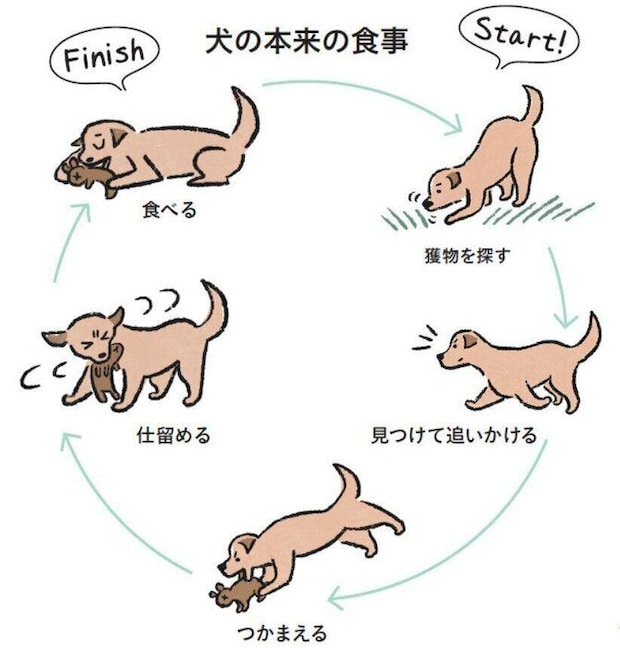 犬の本来の食事