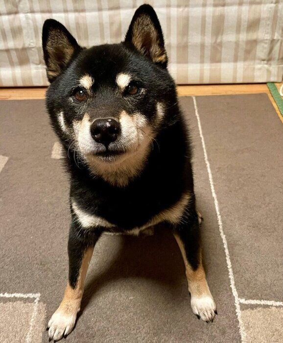 見つめる慧沼くん