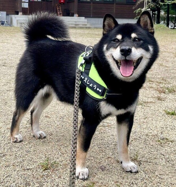 元気にお出かけする慧沼くん