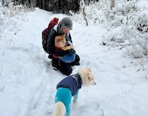 福ちゃん初のギブアップ【穴澤賢の犬のはなし】