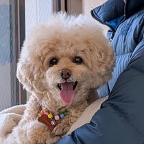 愛犬の“健康長寿”を目指して！　毎日の「食」で取り入れたいポイントを解説