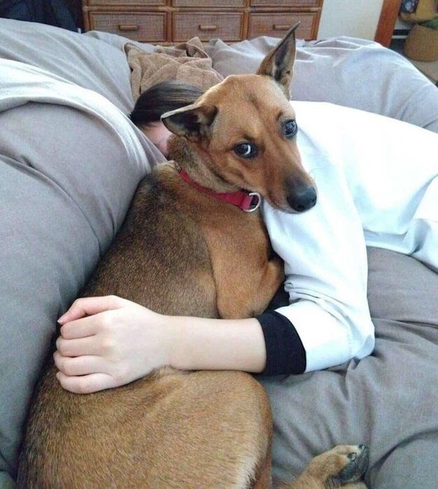 飼い主さんにべったりなハロちゃん