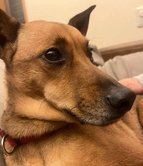 優しい表情をするハロちゃん