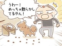 片付け要らずの散らかしタイプ？結局食べる…愛犬の謎ルーティン｜連載「こぐま犬てんすけ」vol.304