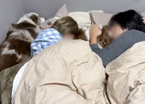 飼い主さんと一緒のベッドで眠るボーダー・コリー、オーストラリアン・シェパード！甘えん坊な姿にほっこり